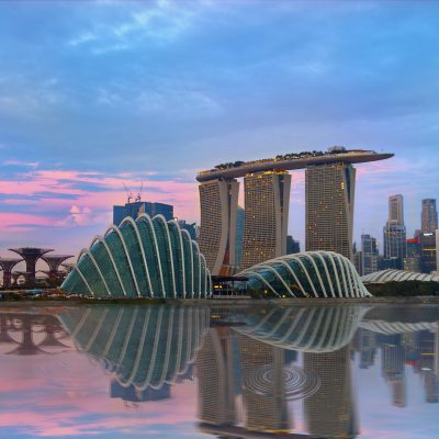 They are set in the heart of Singapore new downtown Marina Bay, encircling the Marina Reservoir like a green necklace. The Gardens will complement the array of attractions around Marina Bay.